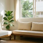 Clean minimalist Indian living room with low wooden sofa indoor plant small bookshelf and morning sunlight through large window