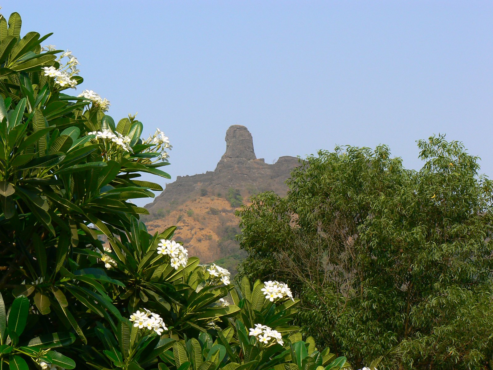 Monsoon Treks Near Mumbai: Routes, Access and Planning 2 Karnala Fort's rock pinnacle rising above forested hills near Panvel