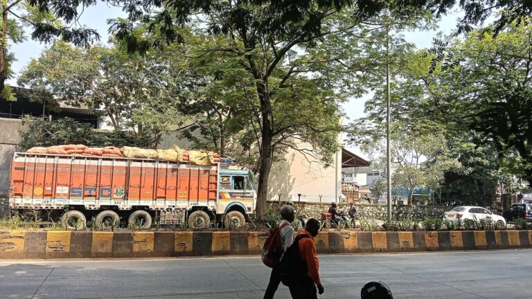Home 7 A loaded truck on a tree-lined road at the Masala Market in APMC, Vashi