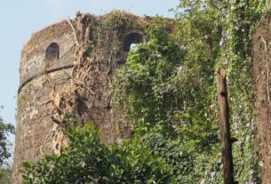 Overgrown stone bastion of Belapur Fort in Navi Mumbai