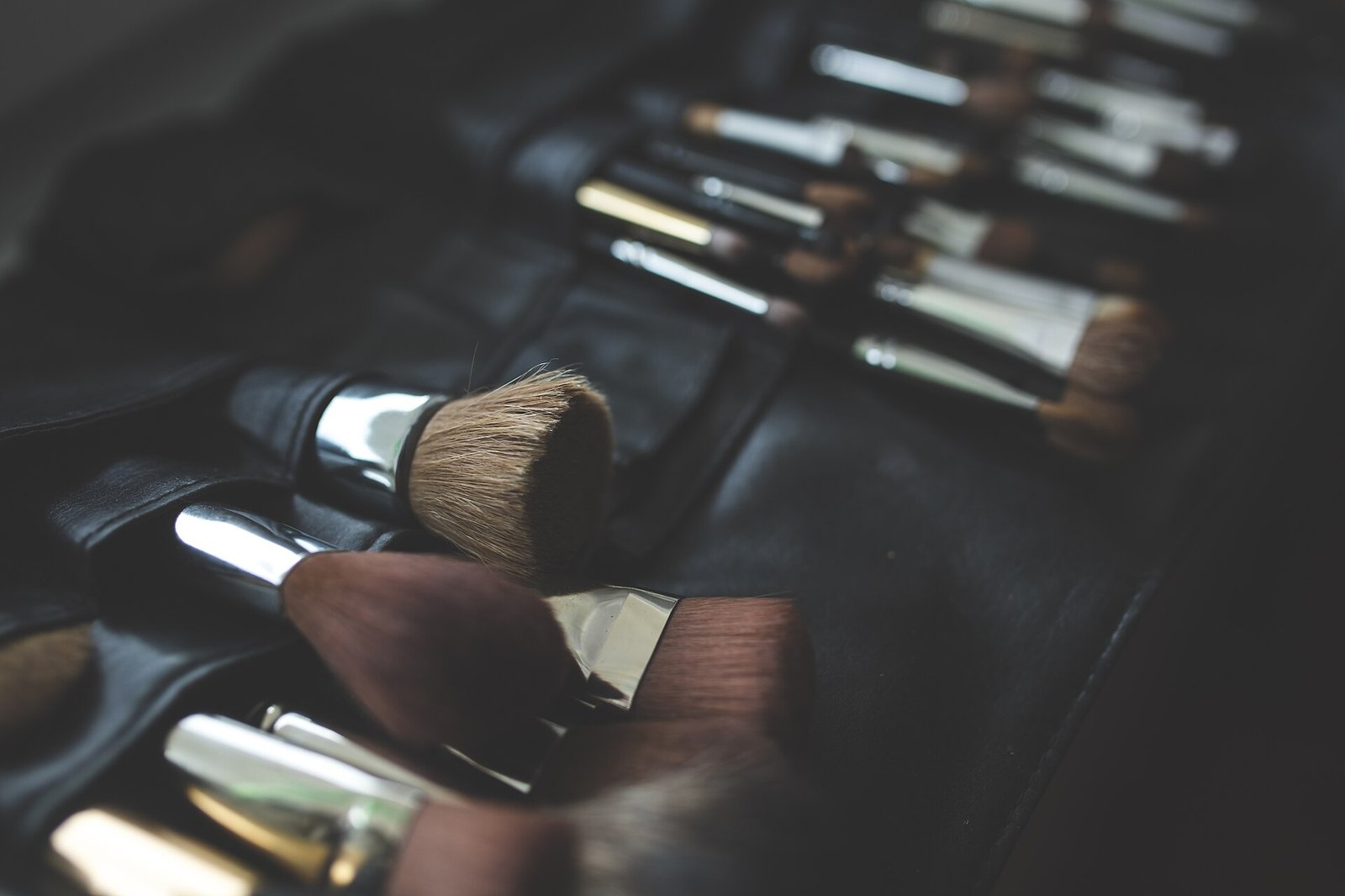 A leather roll holding a row of professional makeup brushes in dim light