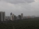 Cluster of tall apartment towers rising above dark green mangroves under a cloudy sky along Palm Beach Road in Navi Mumbai