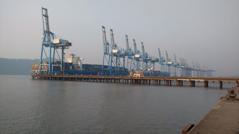 Home 5 Blue quay cranes loading container ships at JNPT