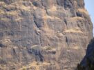 Rock-cut staircase climbing the steep cliff face of Kalavantin Durg