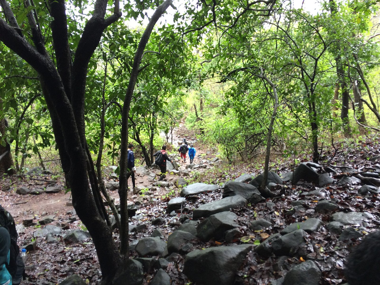 Hikers on a rocky forest trail in Karnala Bird Sanctuary