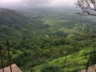 Green Western Ghats valley seen from Malshej Ghat in the monsoon