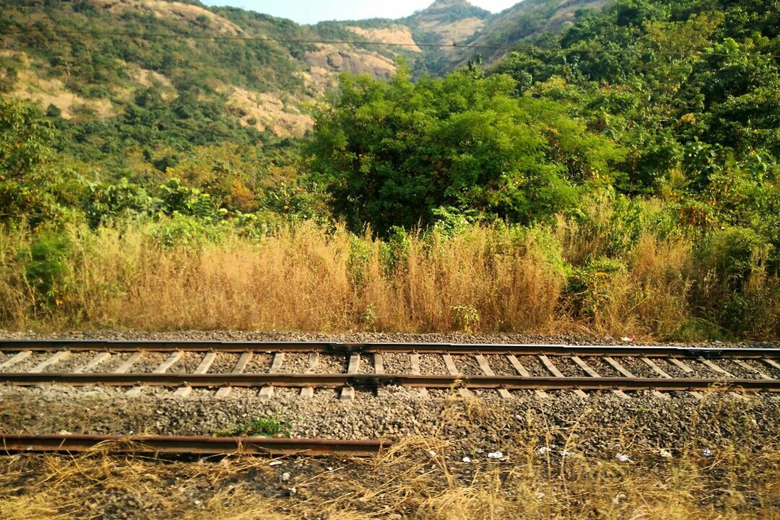 Green Lonavala hills seen from a moving train