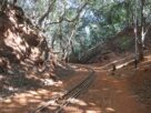 Narrow gauge toy train track curving through red soil and forest near Matheran