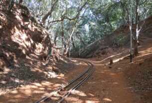 Narrow gauge toy train track curving through red soil and forest near Matheran
