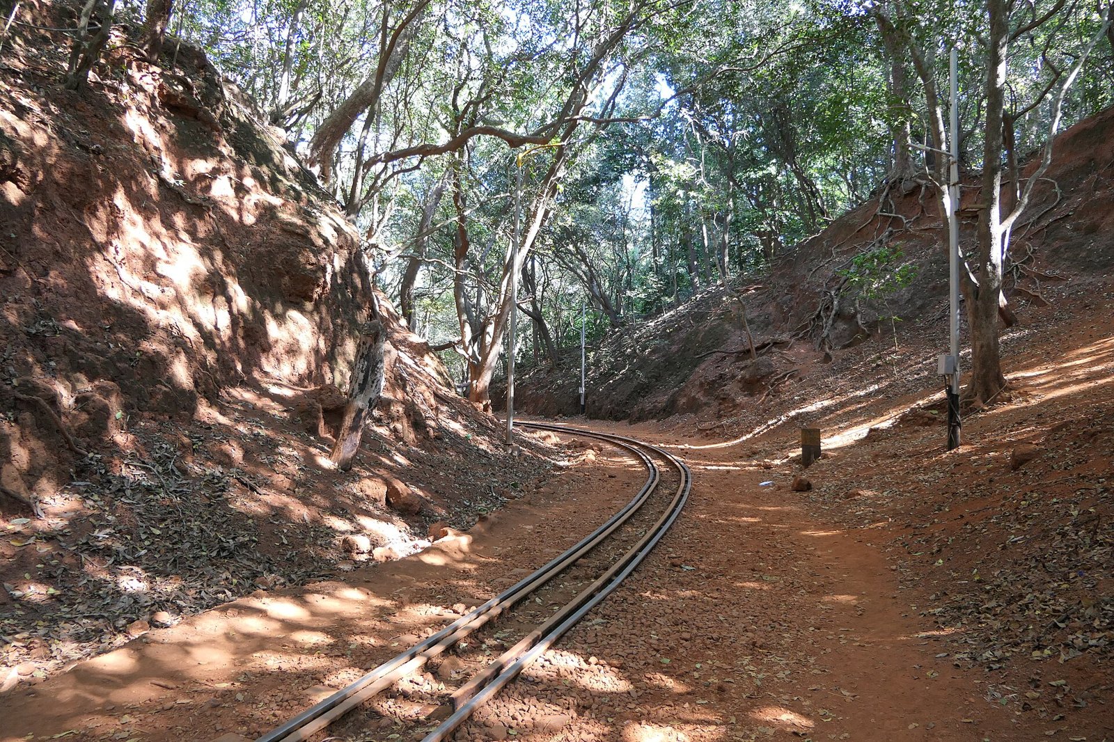 Narrow gauge toy train track curving through red soil and forest near Matheran