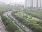 Palm Beach Road curving beside mangroves with cars on both carriageways and apartment towers behind in Navi Mumbai