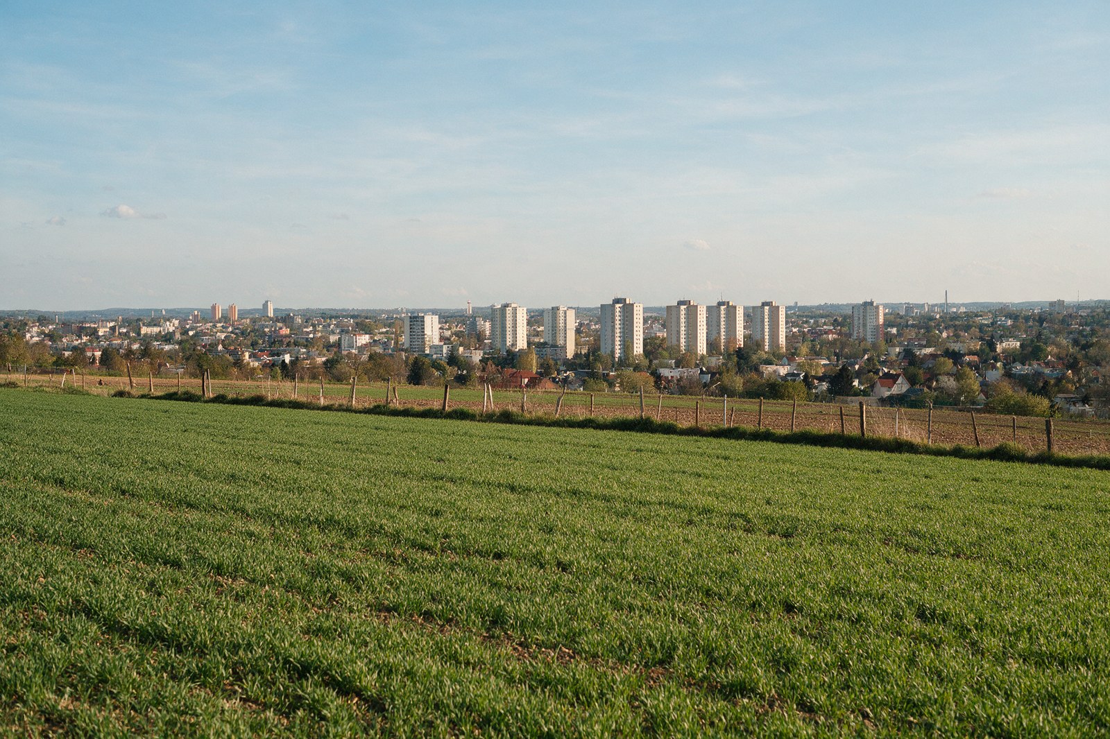 A green farm field with a fence at the edge of a growing city