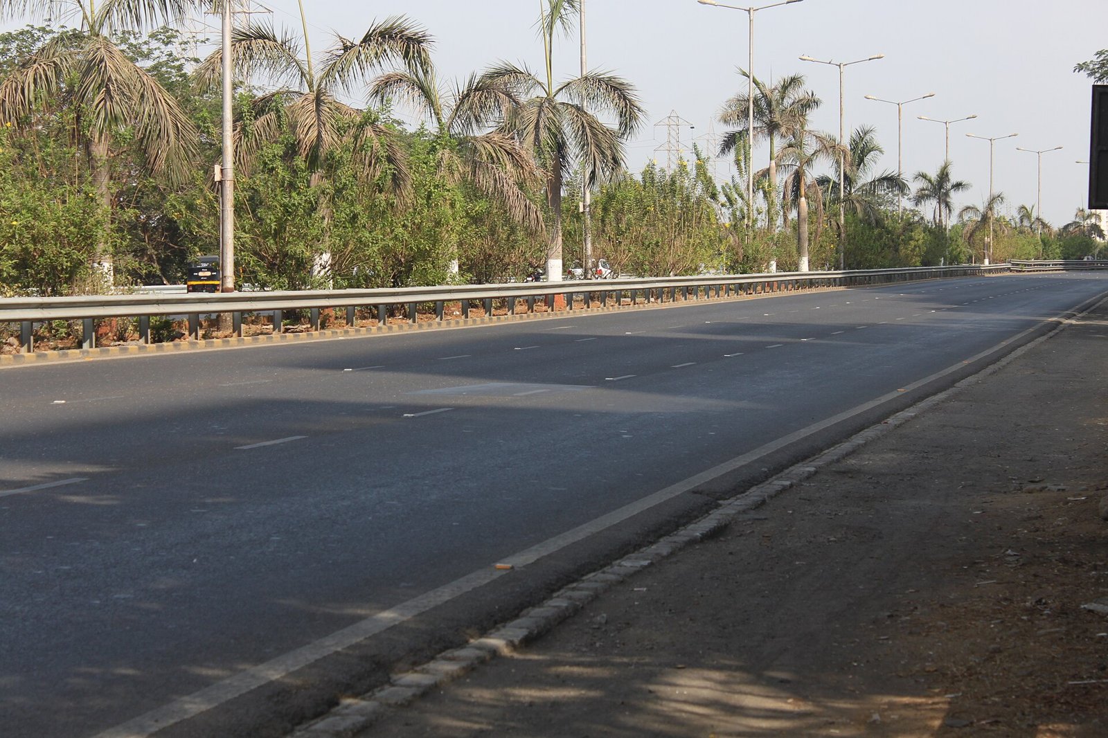 Palm Beach Road at Sanpada lined with palm trees