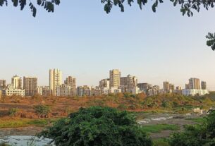 Taloja skyline at dusk seen across open wetland