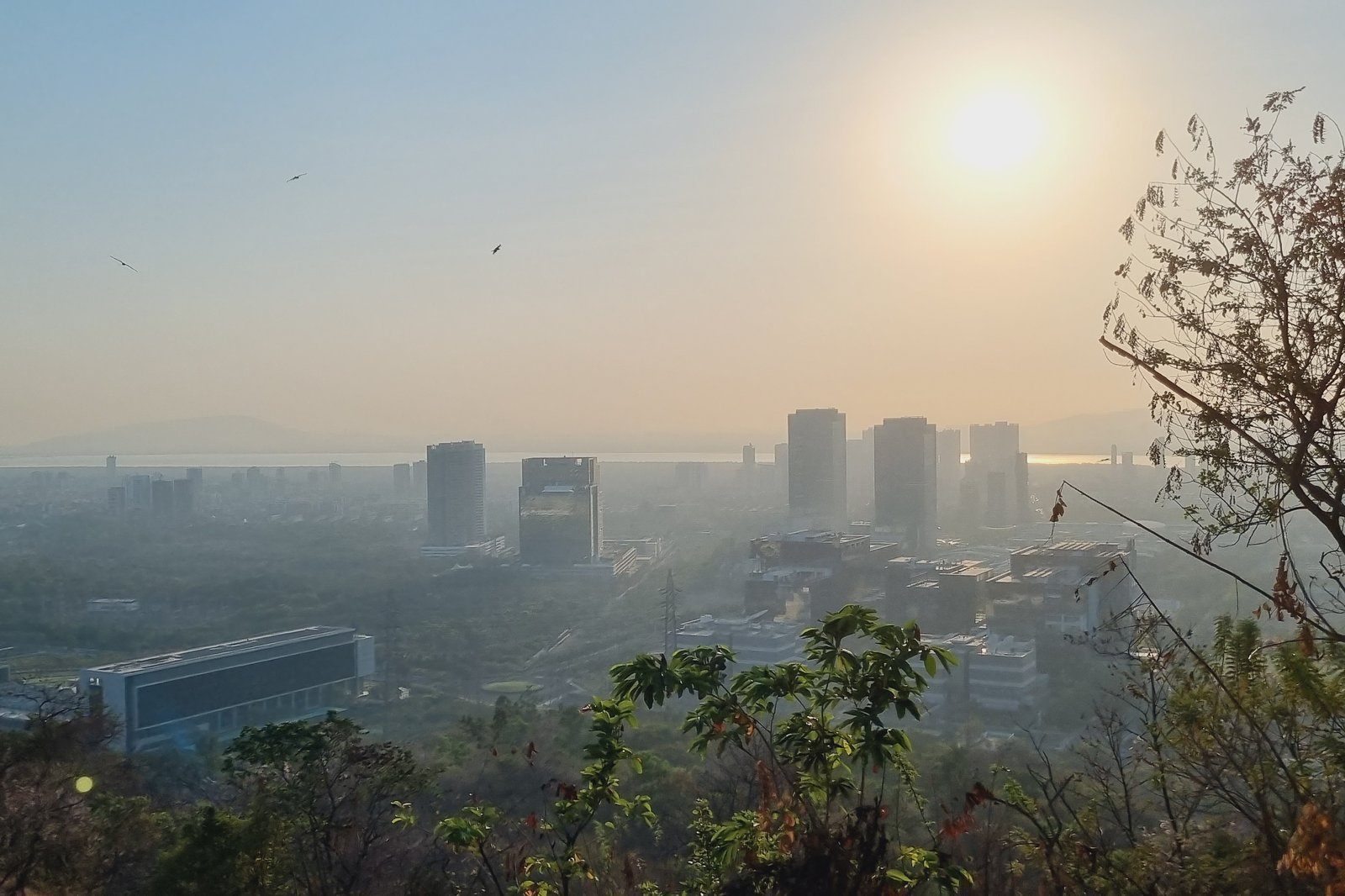 Navi Mumbai buildings viewed from Gavli Dev hill.