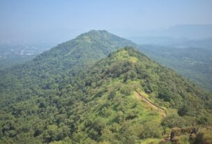 Forested ridge and a dirt trail seen from Karnala Fort, with hazy hills and the plain in the distance